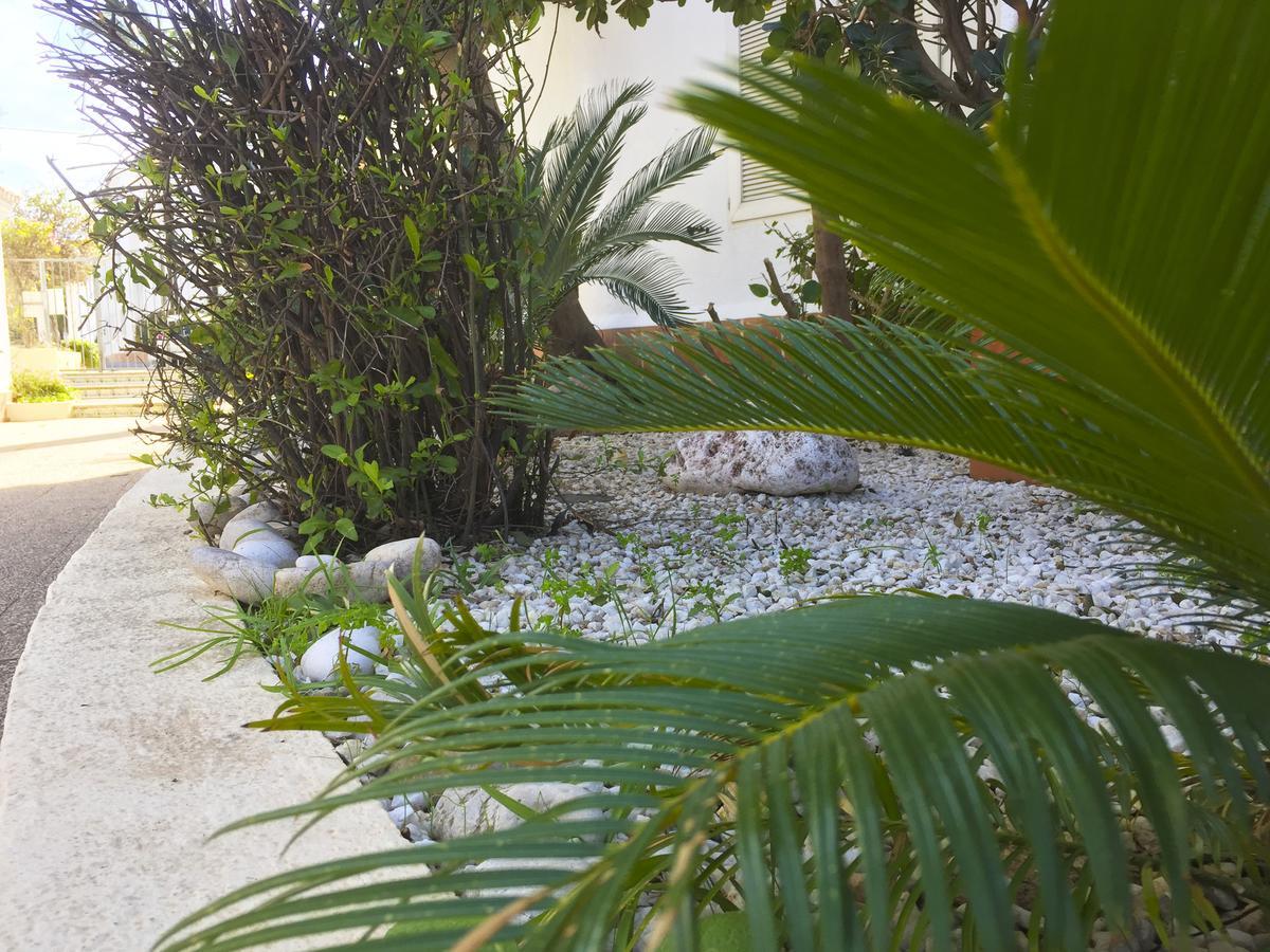 Anacasa Oasis Beach II Marineta Ap2116 Dénia Eksteriør billede